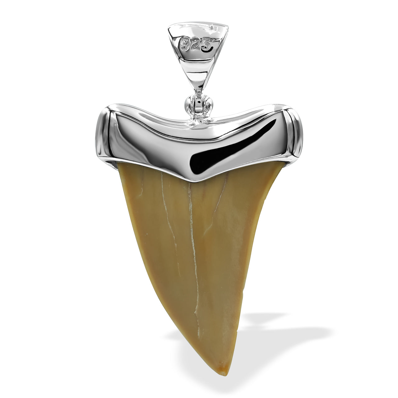 Starborn Light Fossil Shark Tooth Cap Set Pendant in Sterling Silver