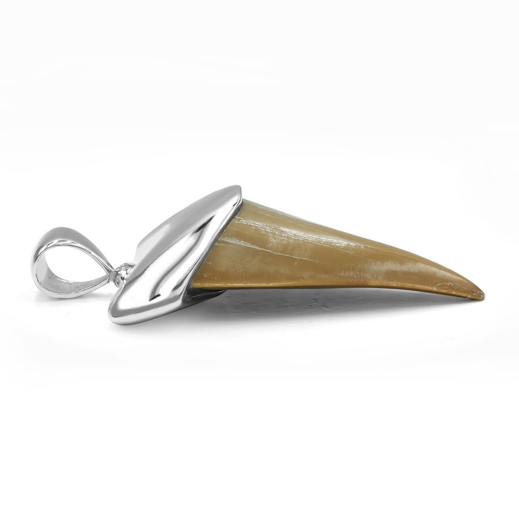 Starborn Light Fossil Shark Tooth Cap Set Pendant in Sterling Silver