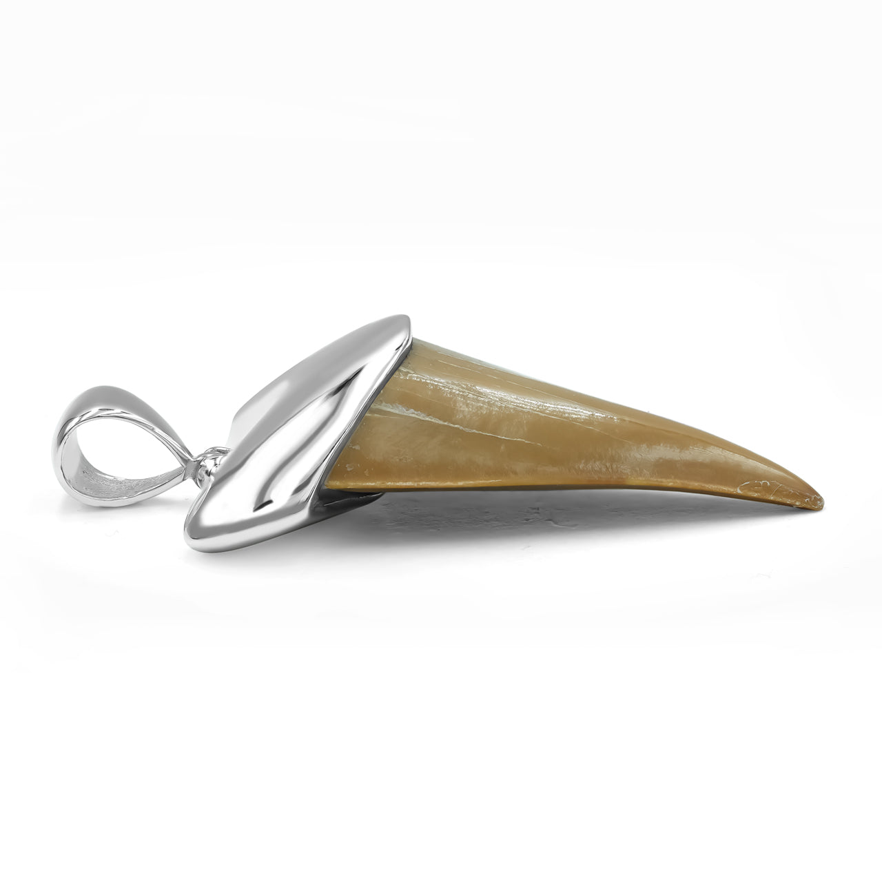 Starborn Light Fossil Shark Tooth Cap Set Pendant in Sterling Silver