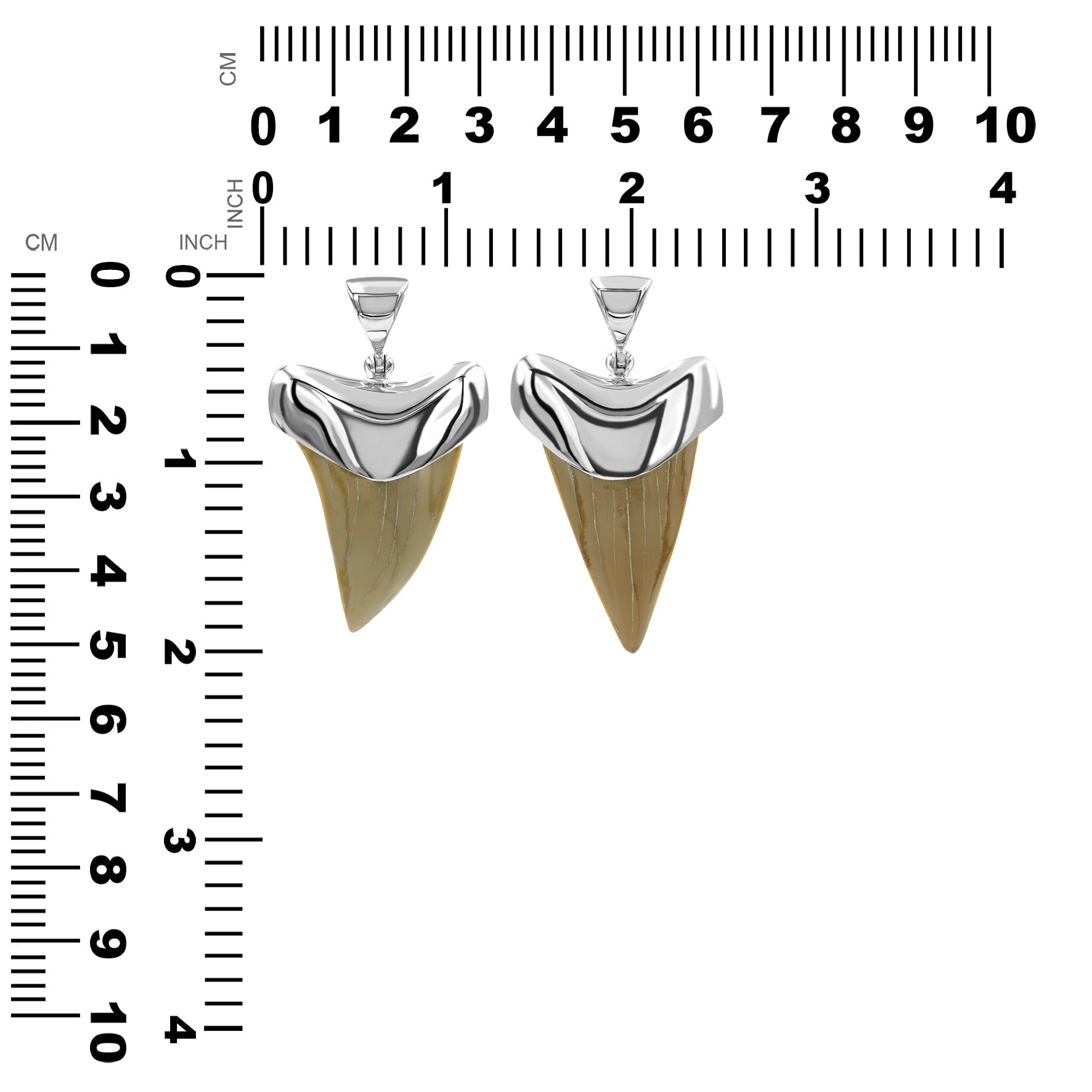 Starborn Light Fossil Shark Tooth Cap Set Pendant in Sterling Silver
