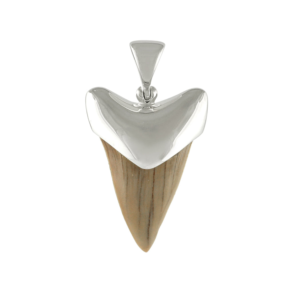 Starborn Light Fossil Shark Tooth Cap Set Pendant in Sterling Silver