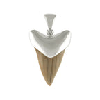 Starborn Light Fossil Shark Tooth Cap Set Pendant in Sterling Silver