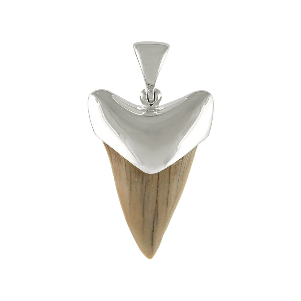 Starborn Light Fossil Shark Tooth Cap Set Pendant in Sterling Silver