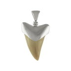 Starborn Light Fossil Shark Tooth Cap Set Pendant in Sterling Silver
