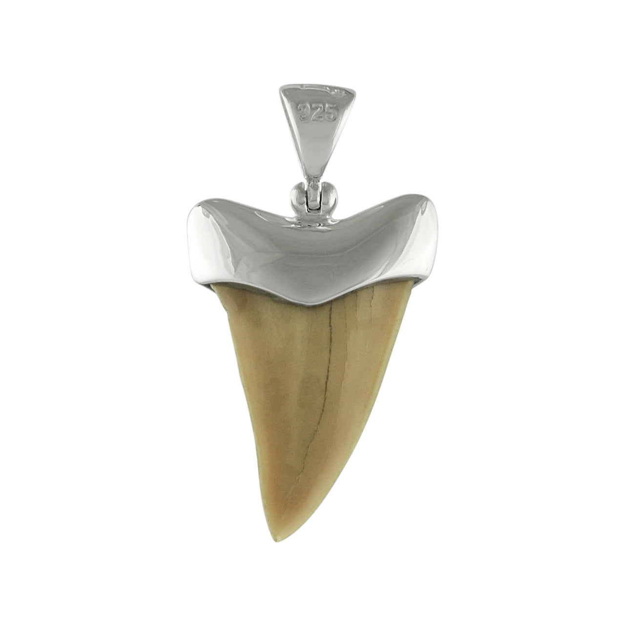 Starborn Light Fossil Shark Tooth Cap Set Pendant in Sterling Silver