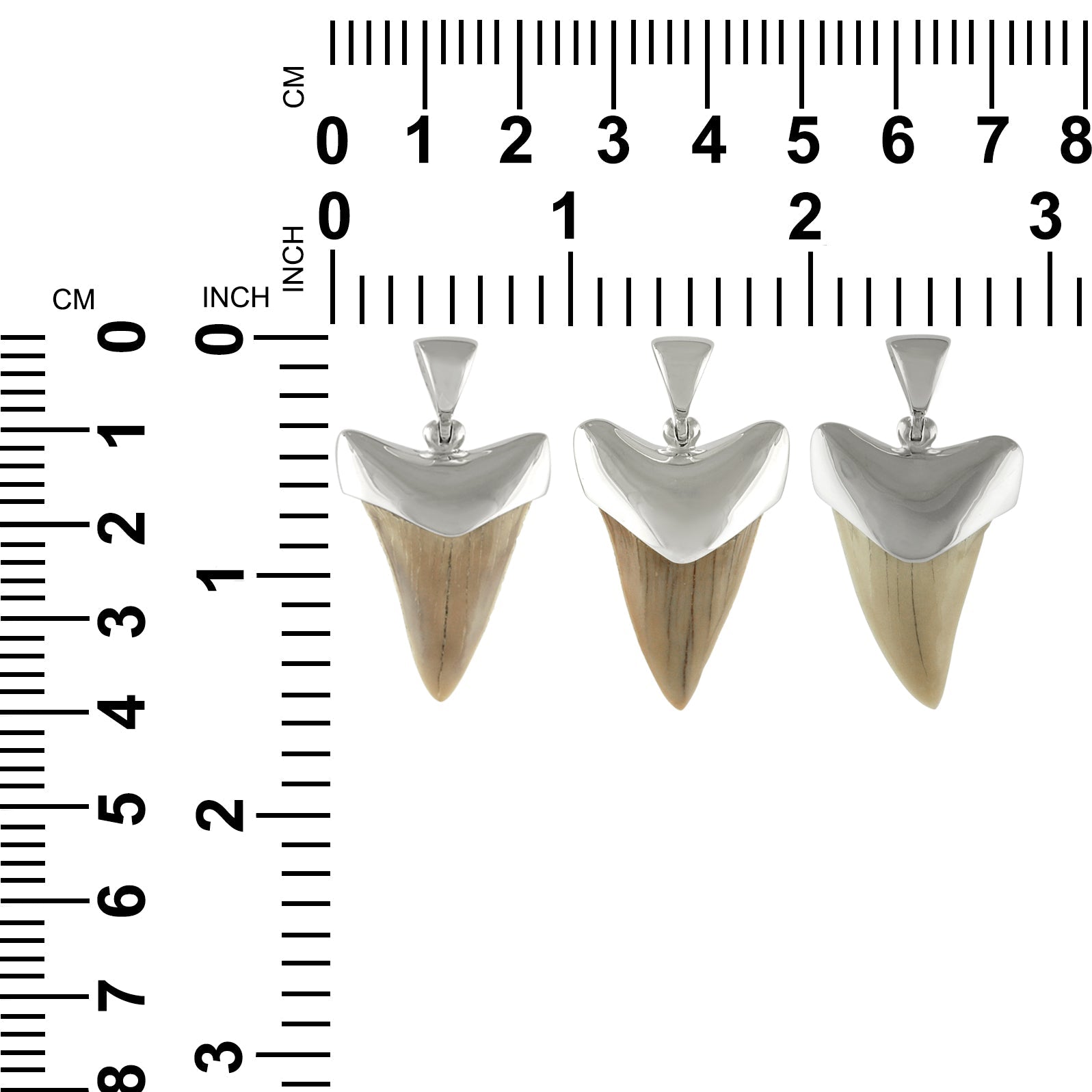 Starborn Light Fossil Shark Tooth Cap Set Pendant in Sterling Silver