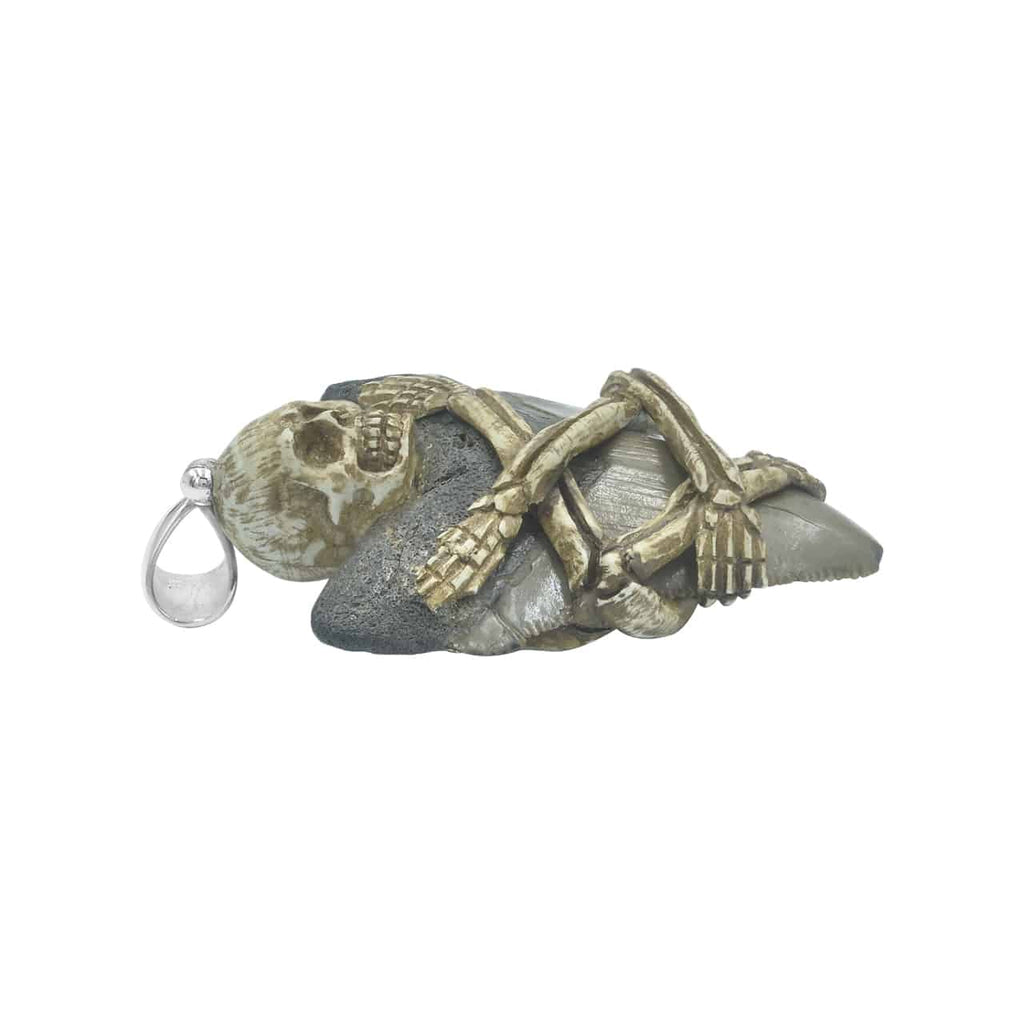 Starborn Fossilized Shark Tooth Pendant with Decorative Skeleton Carving