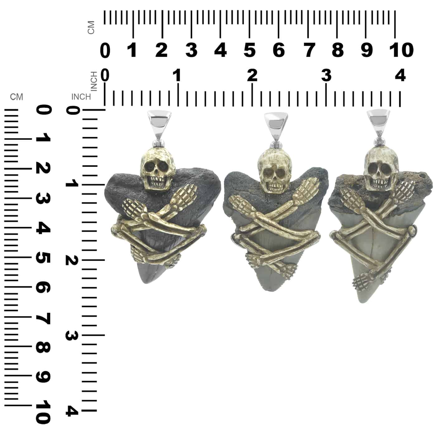 Starborn Fossilized Shark Tooth Pendant with Decorative Skeleton Carving