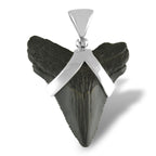 Starborn Dark Fossil Shark Tooth Pendant in Sterling Silver