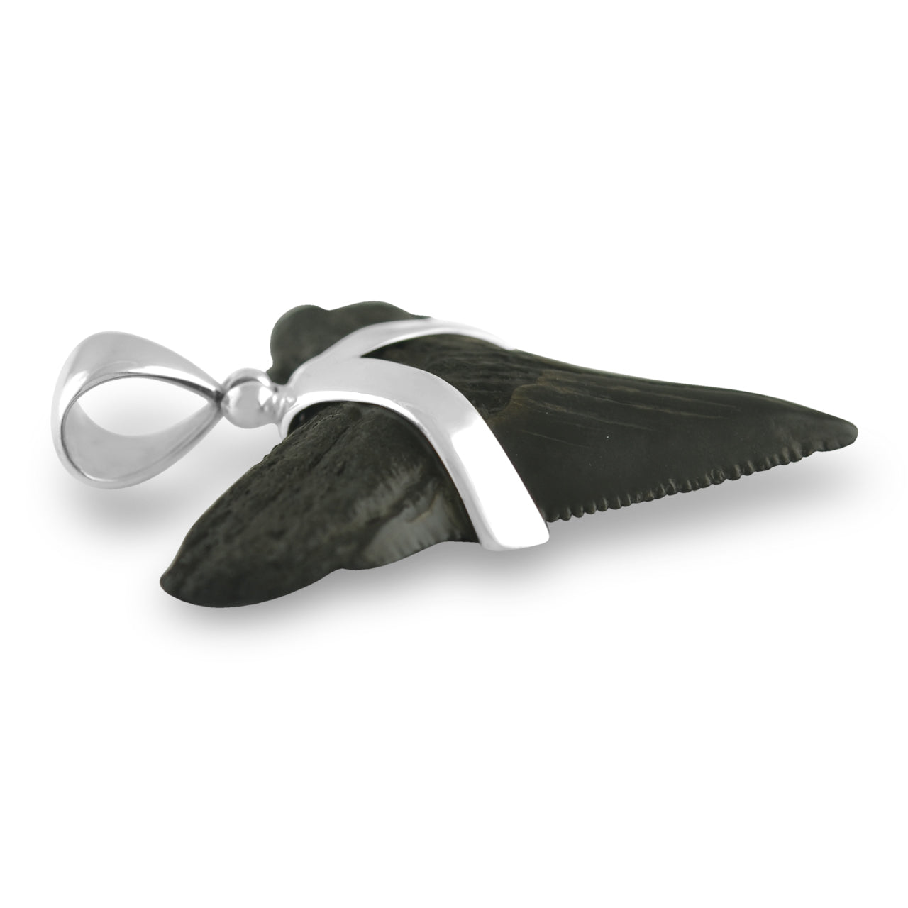 Starborn Dark Fossil Shark Tooth Pendant in Sterling Silver
