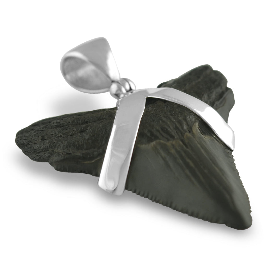 Starborn Dark Fossil Shark Tooth Pendant in Sterling Silver