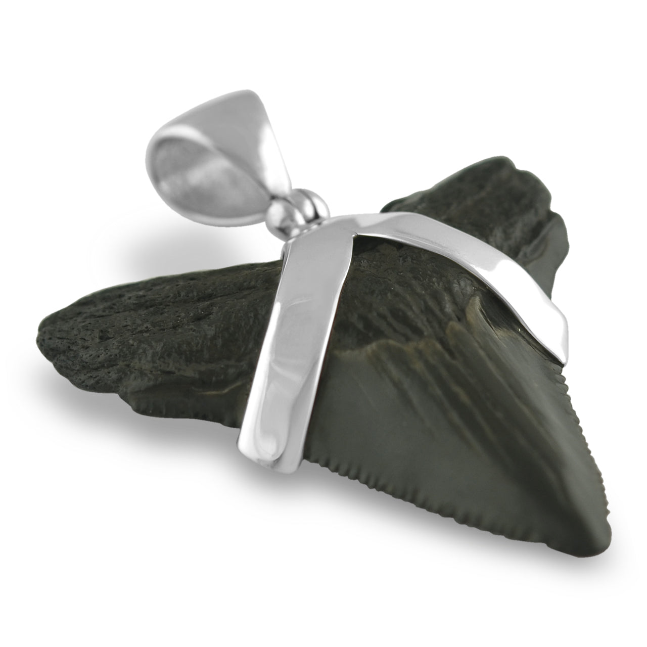 Starborn Dark Fossil Shark Tooth Pendant in Sterling Silver