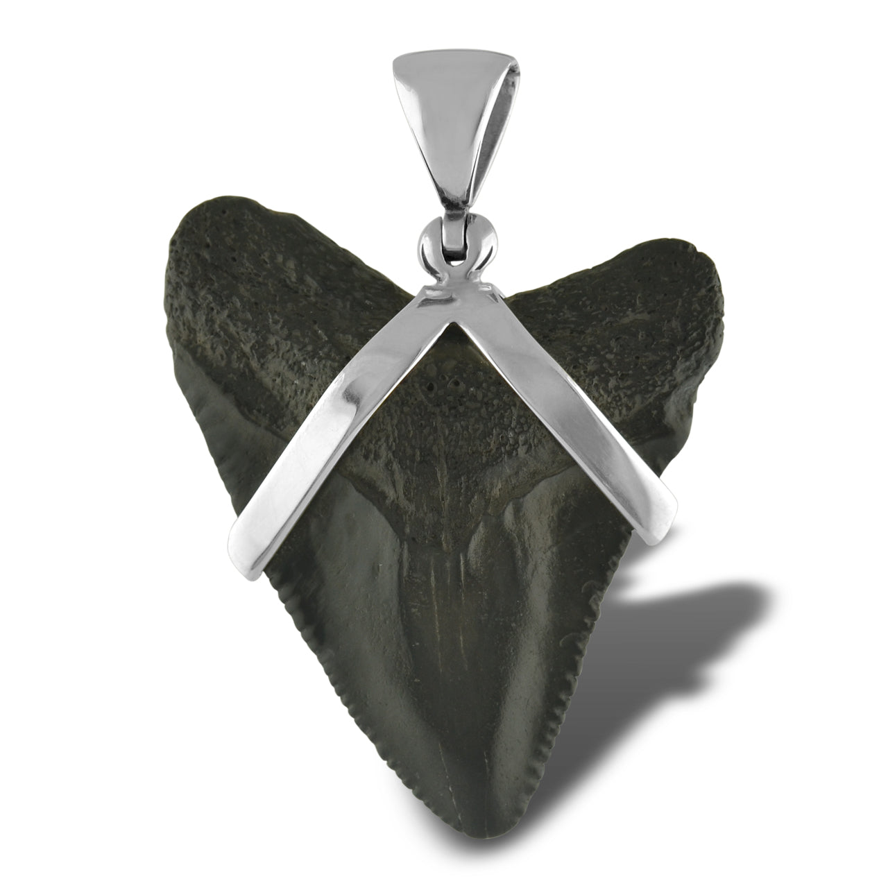 Starborn Dark Fossil Shark Tooth Pendant in Sterling Silver