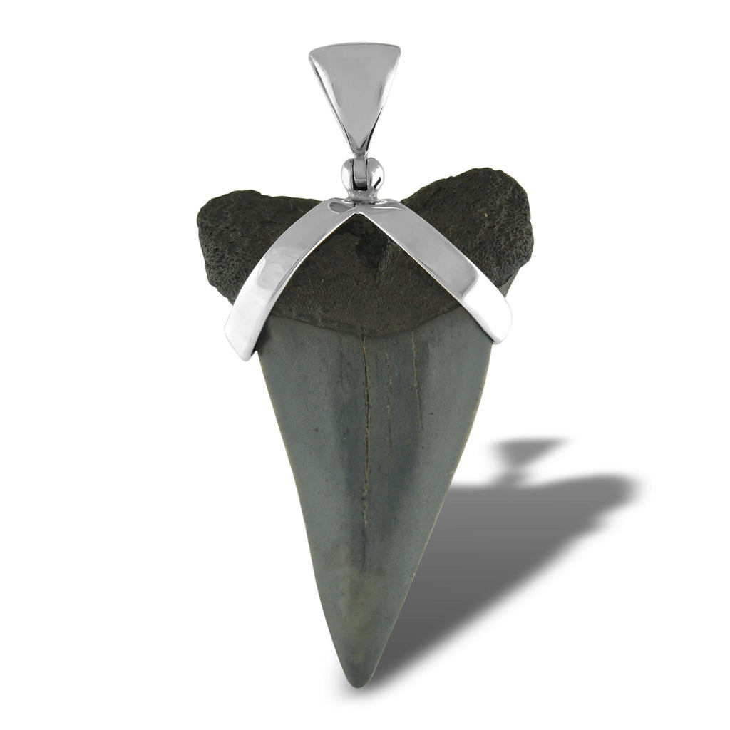 Starborn Dark Fossil Shark Tooth Pendant in Sterling Silver