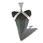 Starborn Dark Fossil Shark Tooth Pendant in Sterling Silver