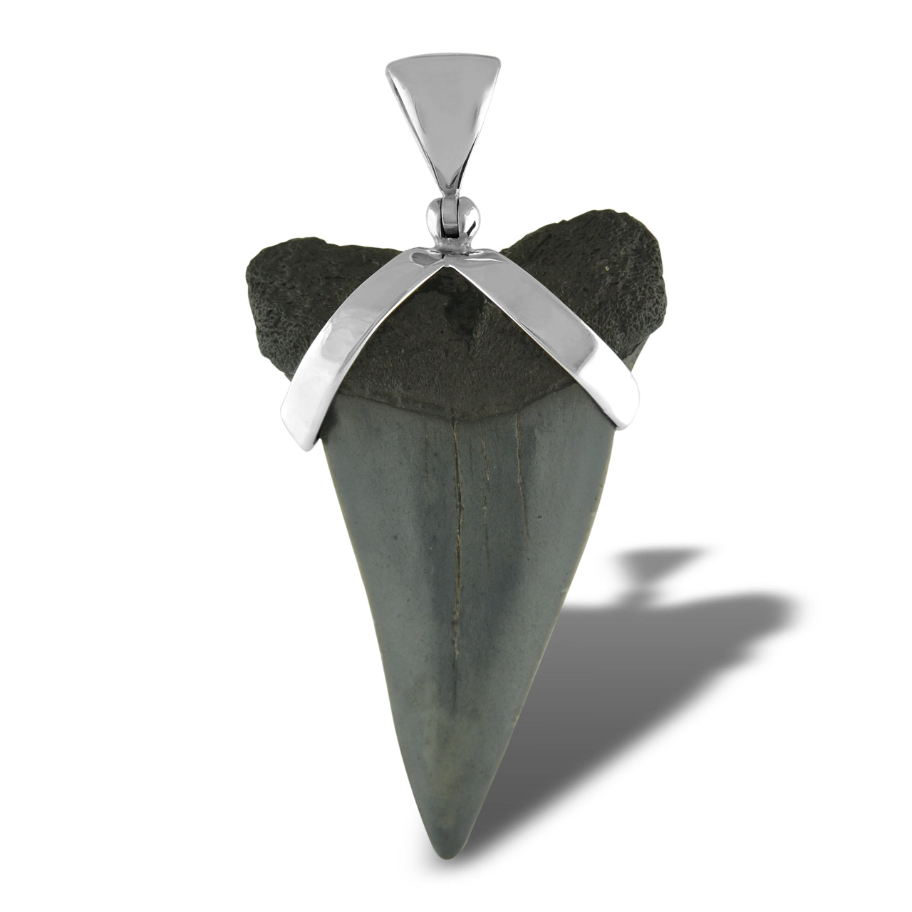 Starborn Dark Fossil Shark Tooth Pendant in Sterling Silver