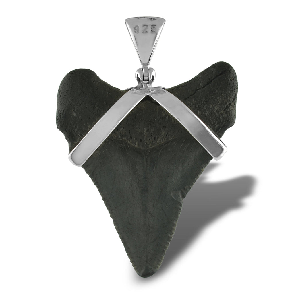 Starborn Dark Fossil Shark Tooth Pendant in Sterling Silver
