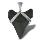 Starborn Dark Fossil Shark Tooth Pendant in Sterling Silver