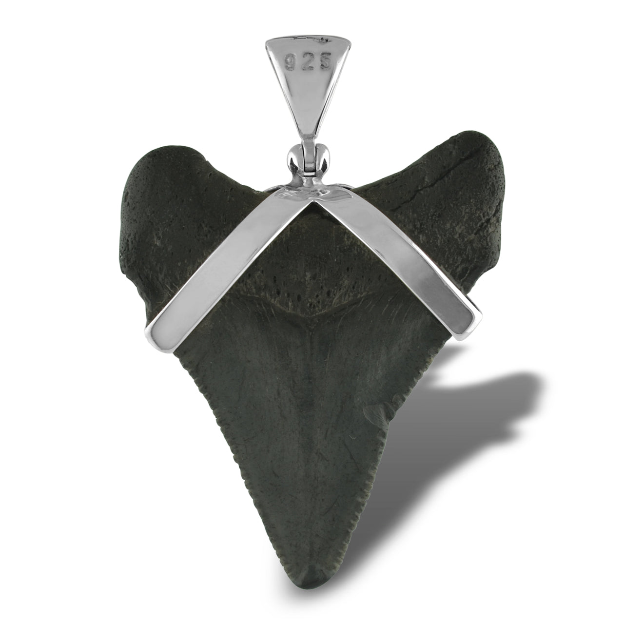 Starborn Dark Fossil Shark Tooth Pendant in Sterling Silver
