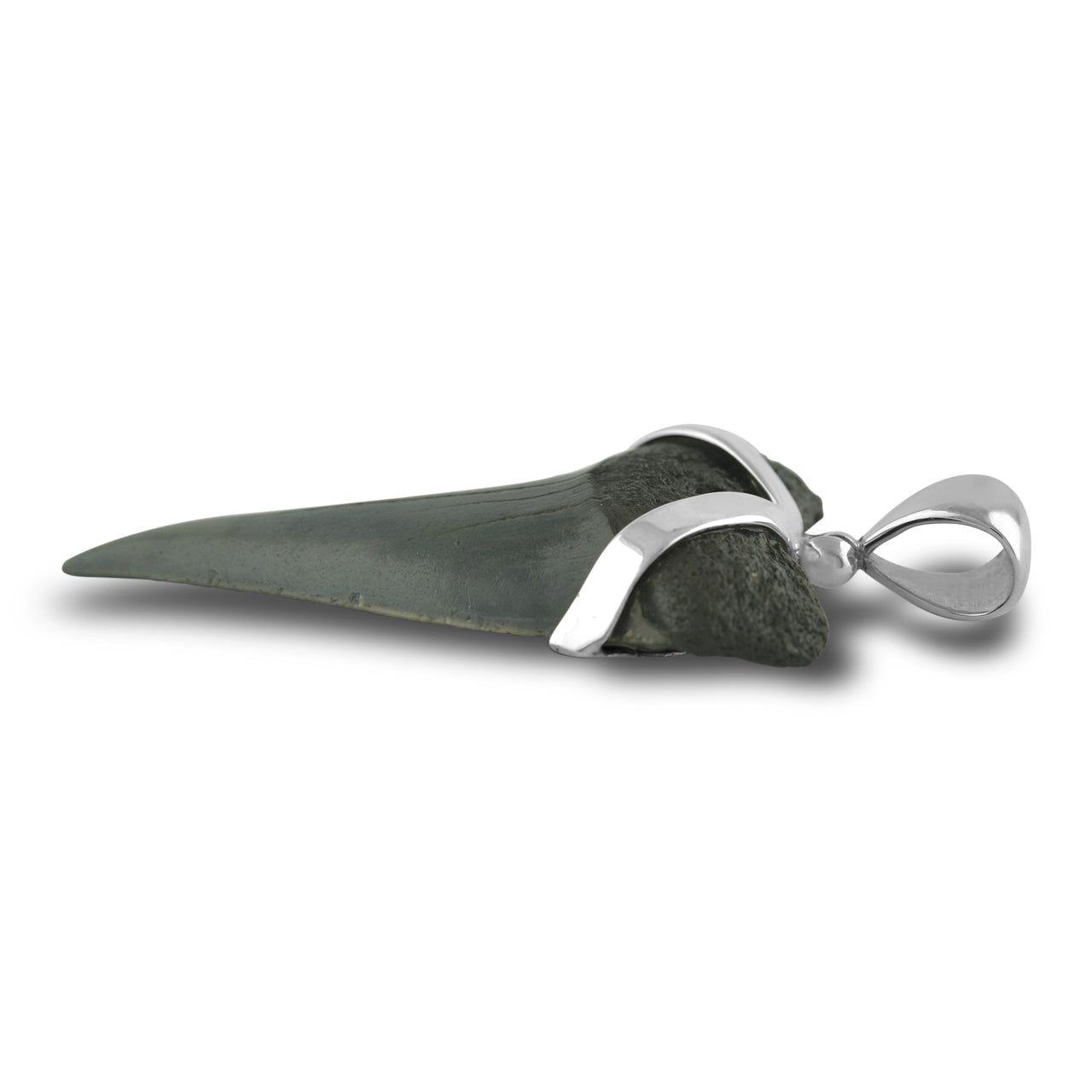 Starborn Dark Fossil Shark Tooth Pendant in Sterling Silver