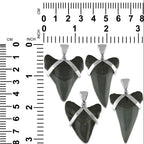 Starborn Dark Fossil Shark Tooth Pendant in Sterling Silver