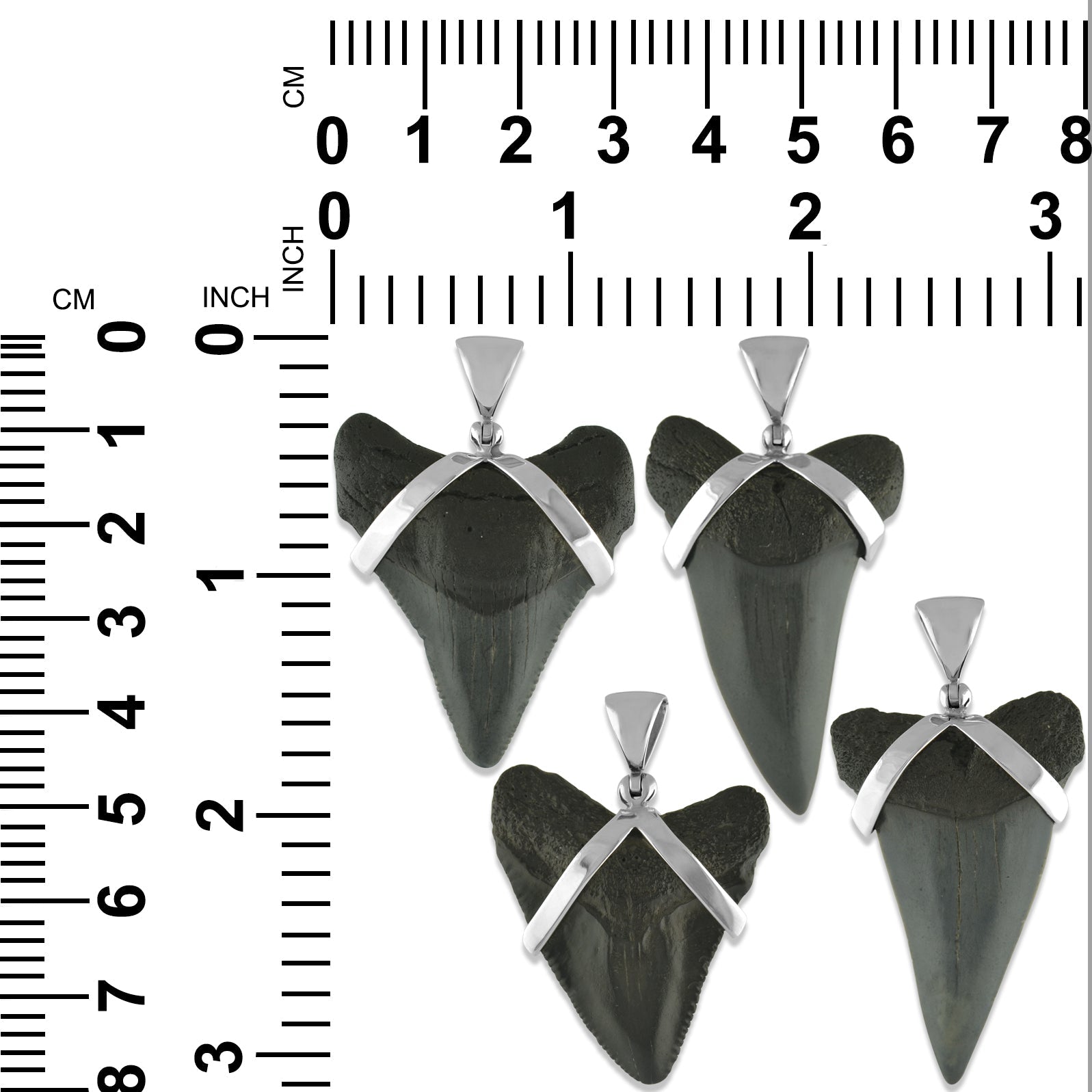 Starborn Dark Fossil Shark Tooth Pendant in Sterling Silver