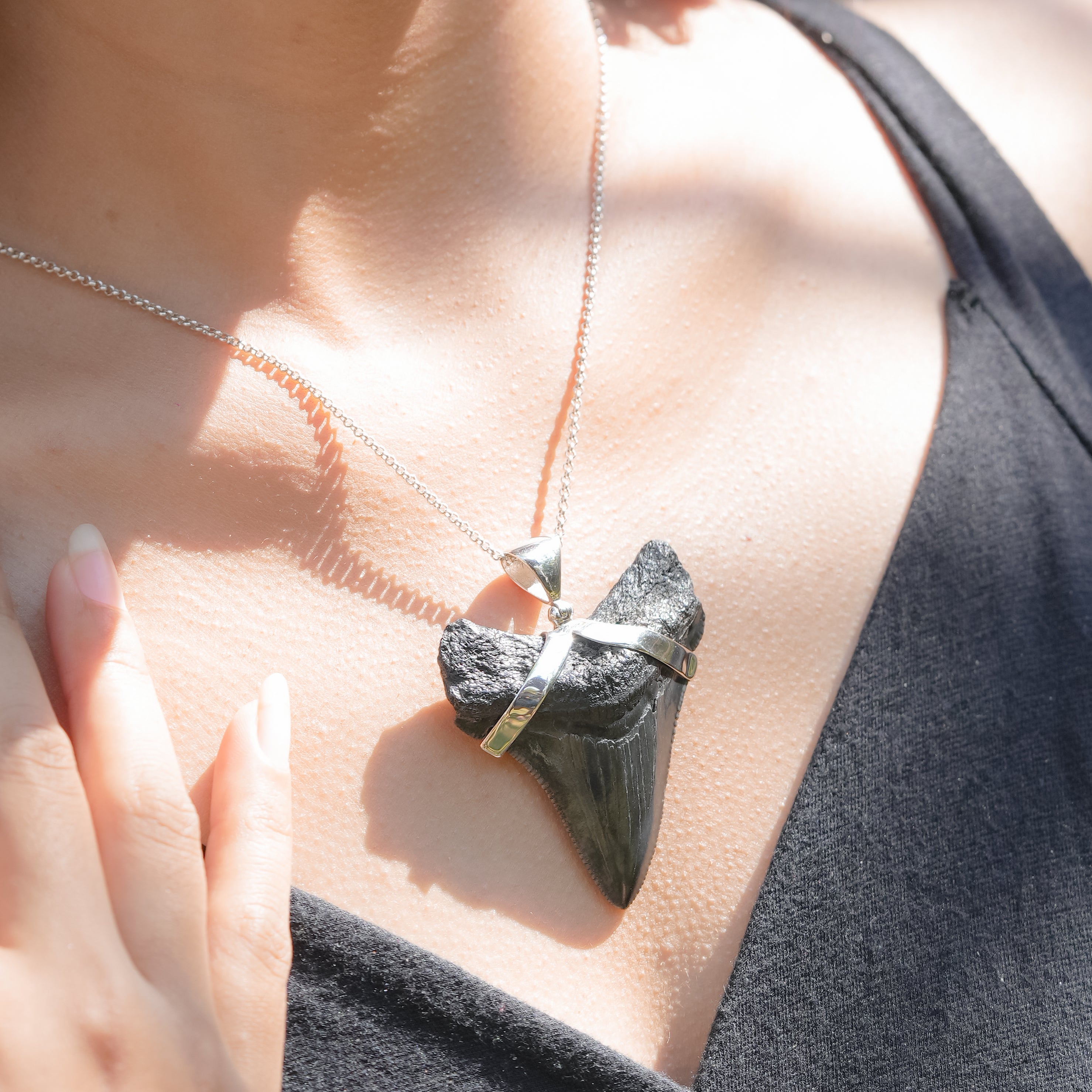 Starborn Dark Fossil Shark Tooth Pendant in Sterling Silver