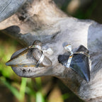Starborn Dark Fossil Shark Tooth Pendant in Sterling Silver