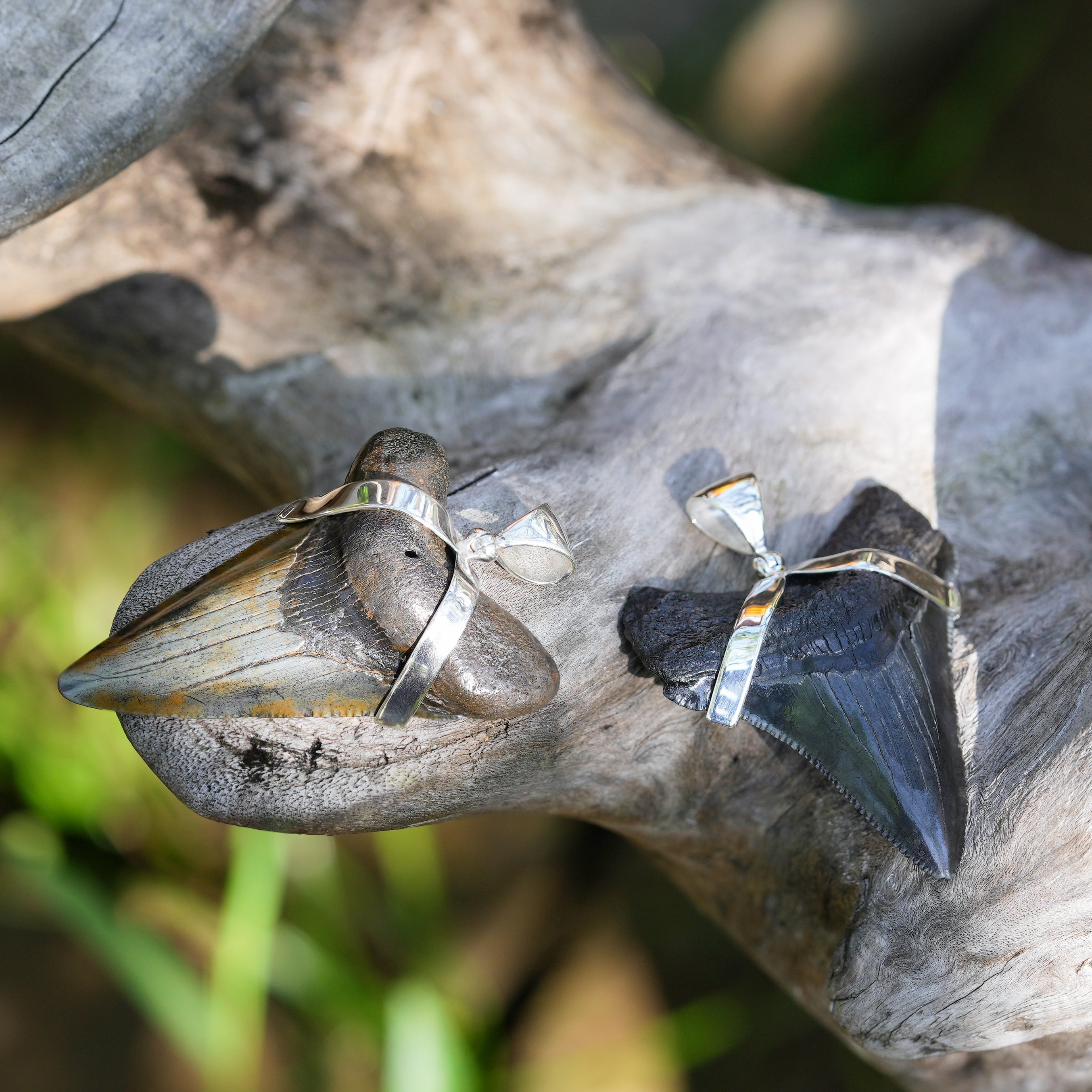 Starborn Dark Fossil Shark Tooth Pendant in Sterling Silver