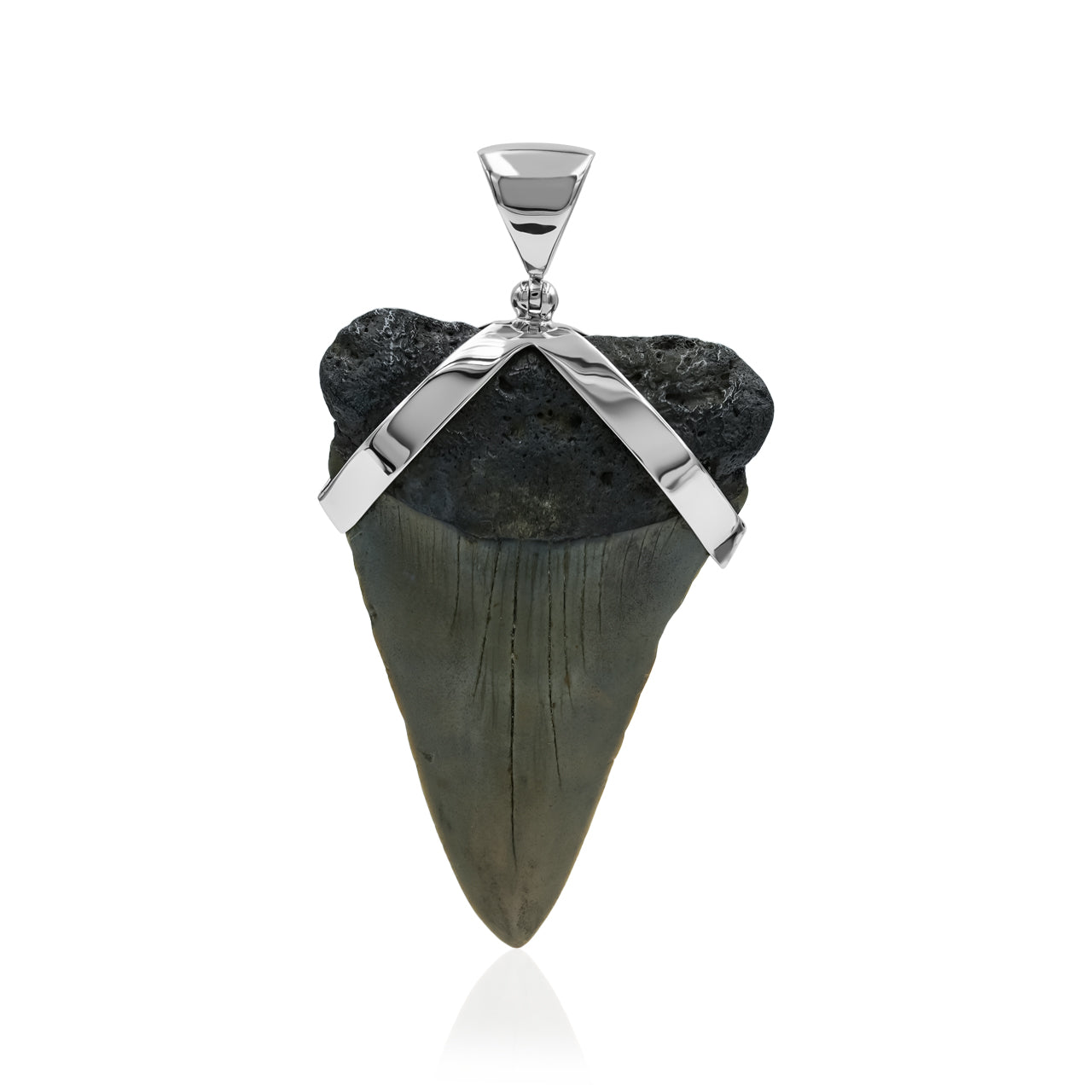 Starborn Dark Fossil Shark Tooth Pendant in Sterling Silver