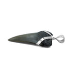 Starborn Dark Fossil Shark Tooth Pendant in Sterling Silver