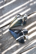 Starborn Dark Fossil Shark Tooth Pendant in Sterling Silver