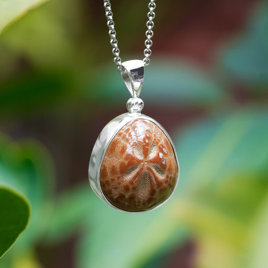 Starborn Fossil Sea Urchin Bezel Pendant in Sterling Silver