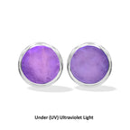 Starborn Fluorescent Hackmanite Post Earrings in Sterling Silver