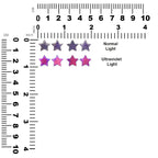 Starborn Gemstones Star Post Earrings in Sterling Silver