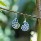 Starborn Nautilus Ammonite with Gemstones Inlay Earring in Sterling Silver - Large