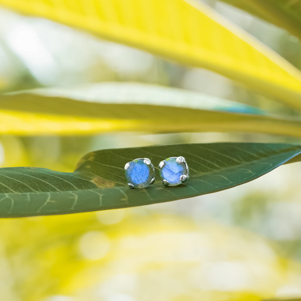 Starborn Faceted Labradorite 6mm Post Earrings in Sterling Silver