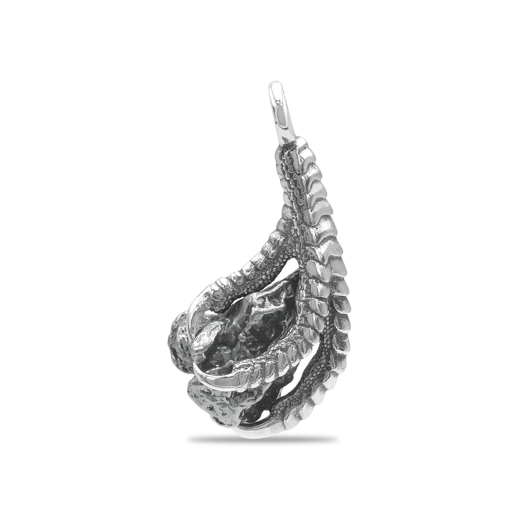 Starborn Gemstone Eagle Claw Pendant in Sterling Silver