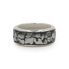 Starborn Campo del Cielo Meteorite Polished Nugget Inlay Ring in Sterling Silver
