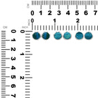 Starborn Peruvian Blue Opal Round 8mm Double Bezel Set Post Earrings in Sterling Silver