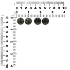 Starborn Pyrite Schist Round Post Earrings in Sterling Silver