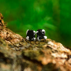 Starborn Rough Elite Shungite Post Earrings in Sterling Silver