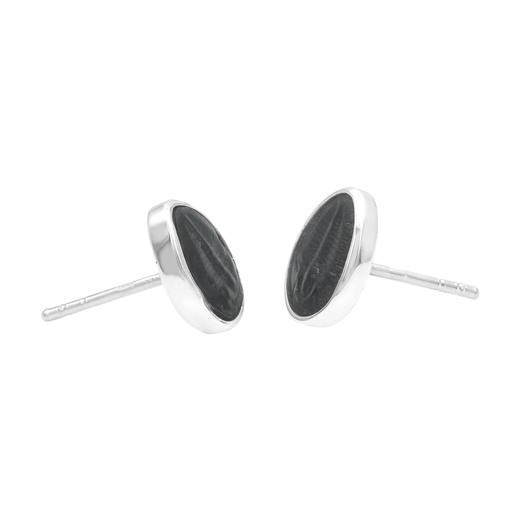 Starborn Fossil Trilobite Post Earrings in Sterling Silver