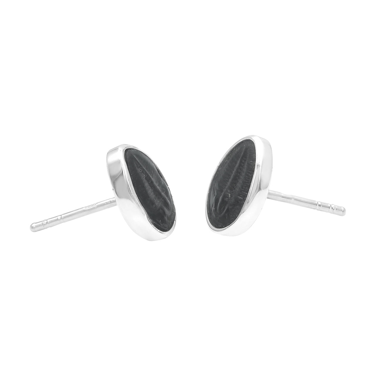 Starborn Fossil Trilobite Post Earrings in Sterling Silver