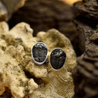 Starborn Fossil Trilobite Post Earrings in Sterling Silver