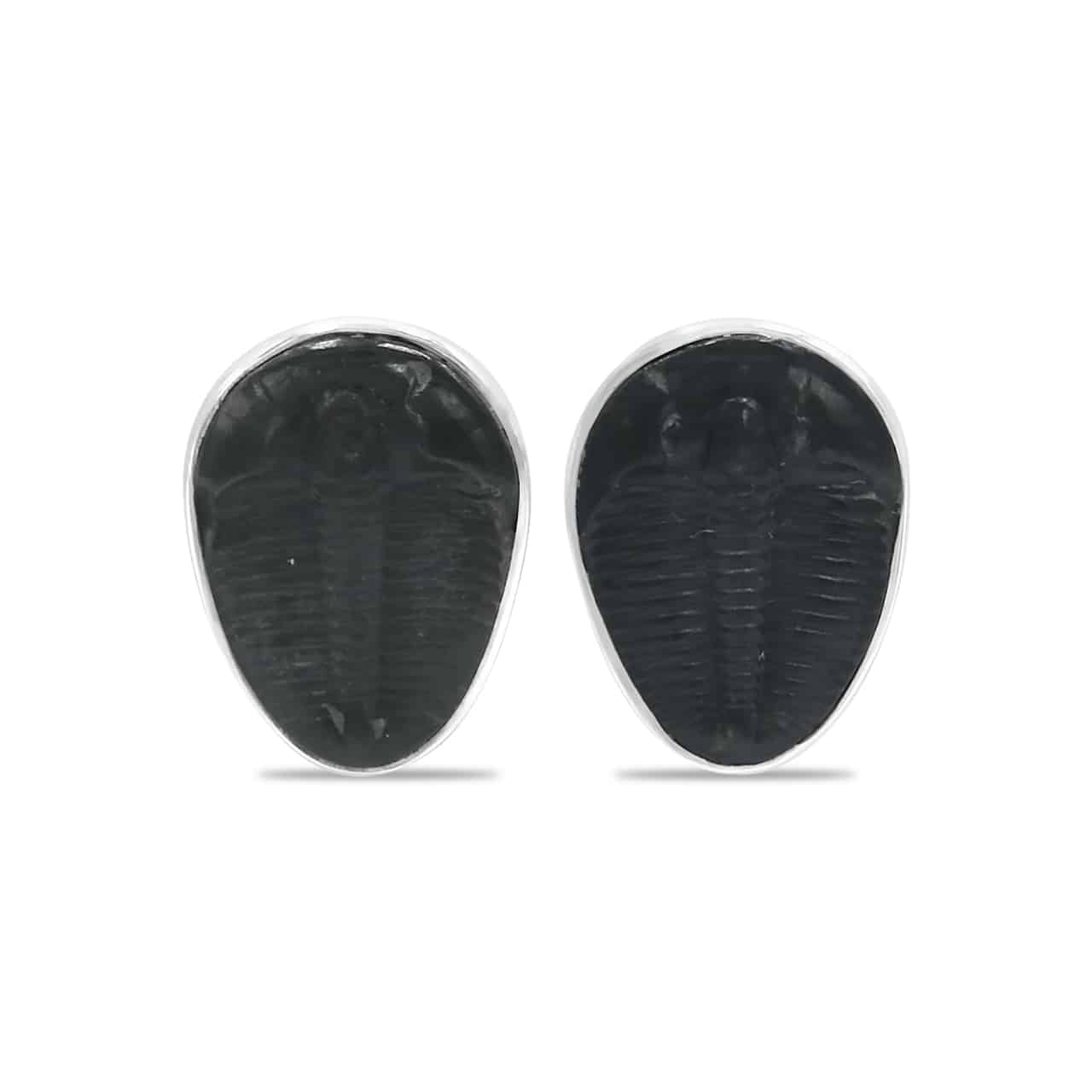 Starborn Fossil Trilobite Post Earrings in Sterling Silver