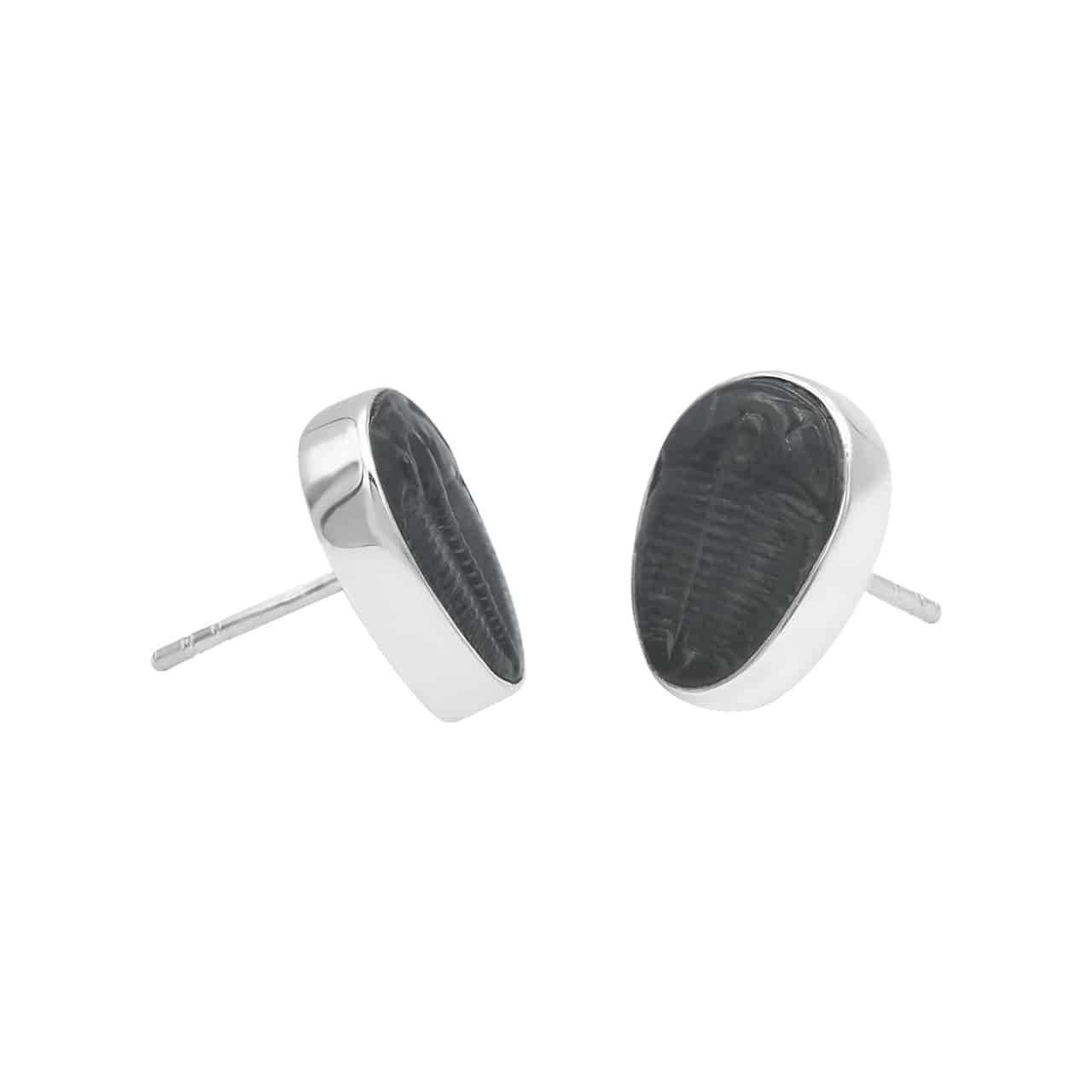 Starborn Fossil Trilobite Post Earrings in Sterling Silver