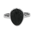 Starborn Fossilized Trilobite Ring (14–16 mm) in Sterling Silver