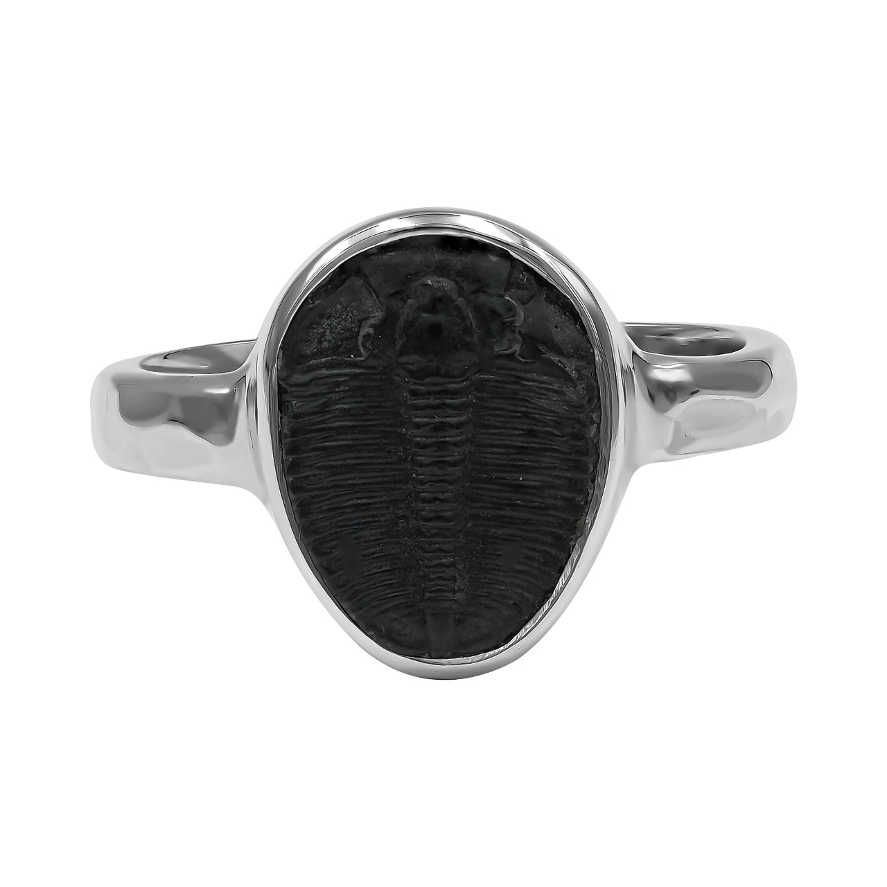 Starborn Fossilized Trilobite Ring (14–16 mm) in Sterling Silver