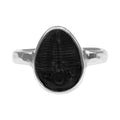 Starborn Fossilized Trilobite Ring (14–16 mm) in Sterling Silver